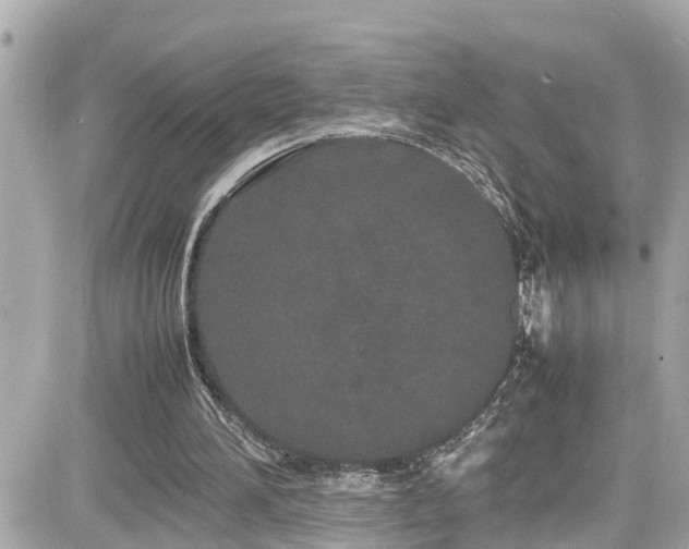 X0000082200196200701191450