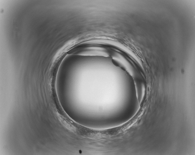 X0000082200197200701191450