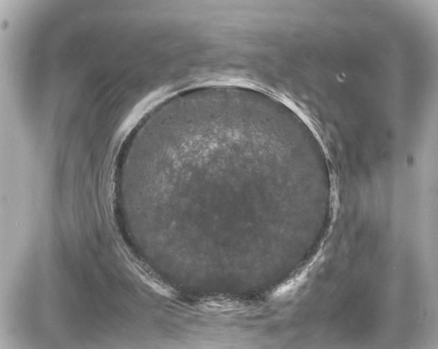 X0000082200199200701191450