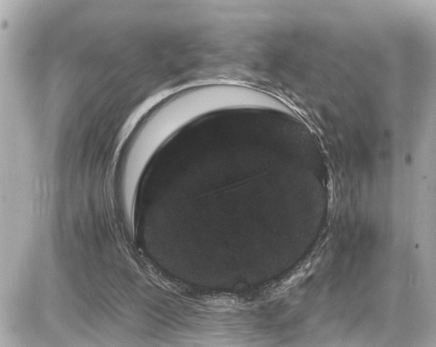 X0000082200200200701191450