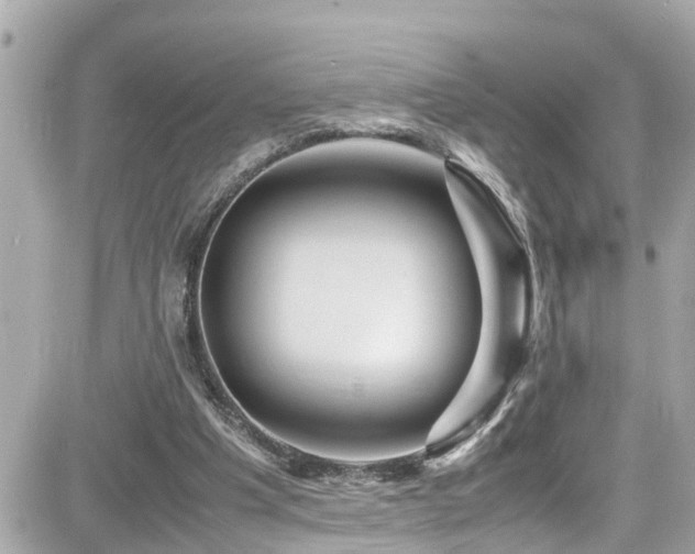 X0000082200201200701191450