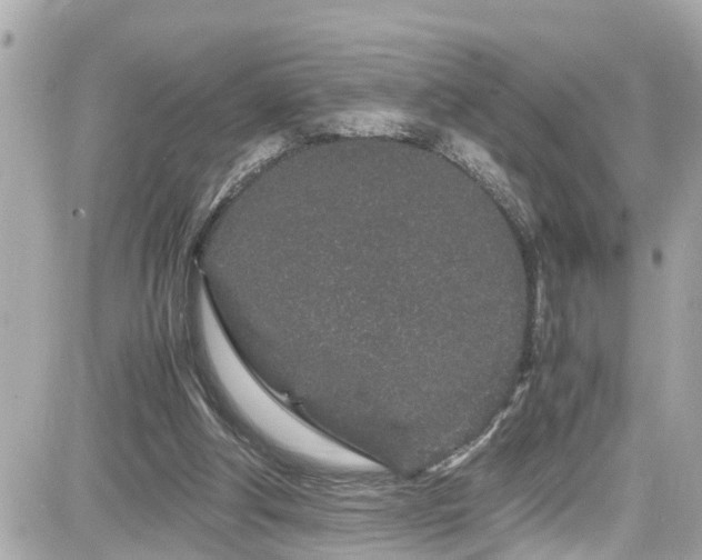 X0000082200202200701191450