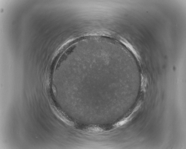 X0000082200203200701191450