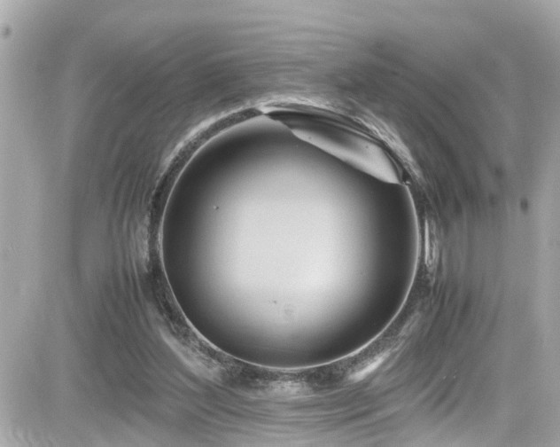 X0000082200204200701191450