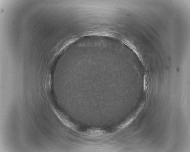 X0000082200205200701191450