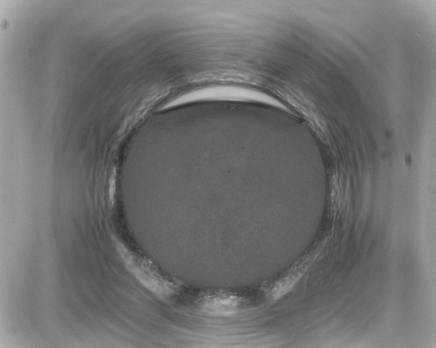 X0000082200206200701191450