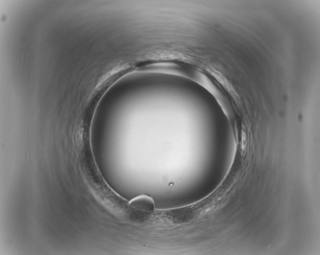 X0000082200207200701191450