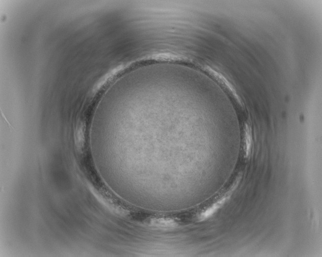 X0000082200208200701191450