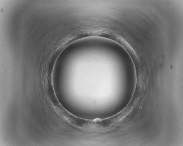 X0000082200209200701191450