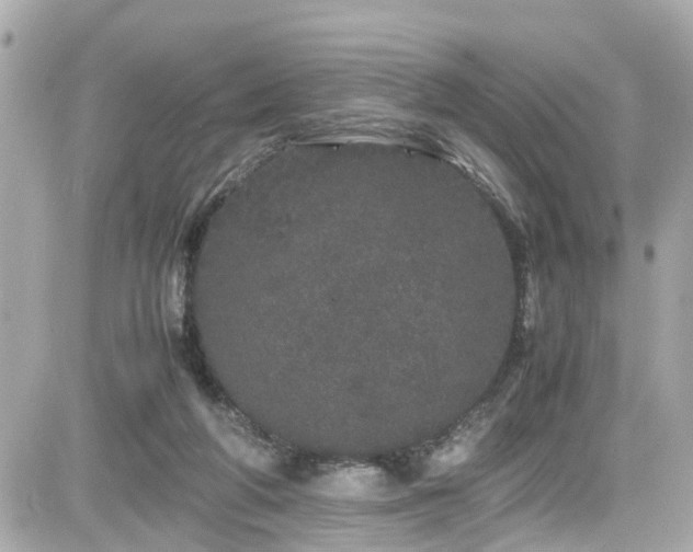 X0000082200210200701191450