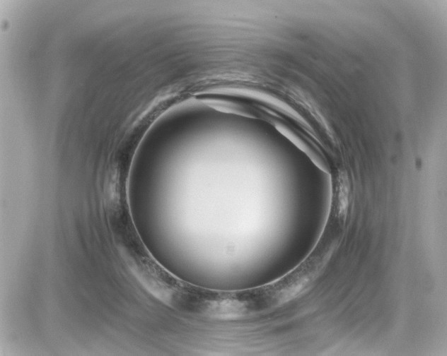 X0000082200212200701191450