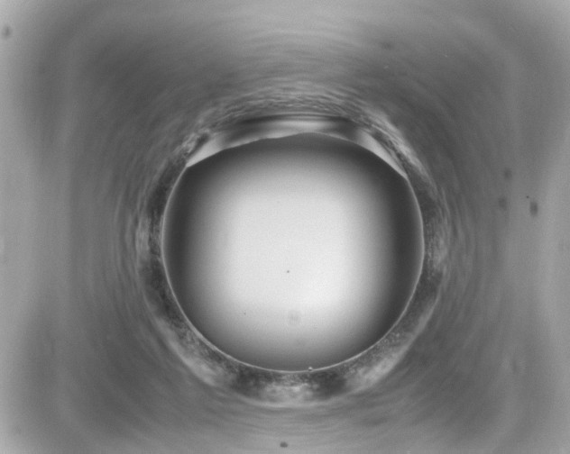 X0000082200213200701191450