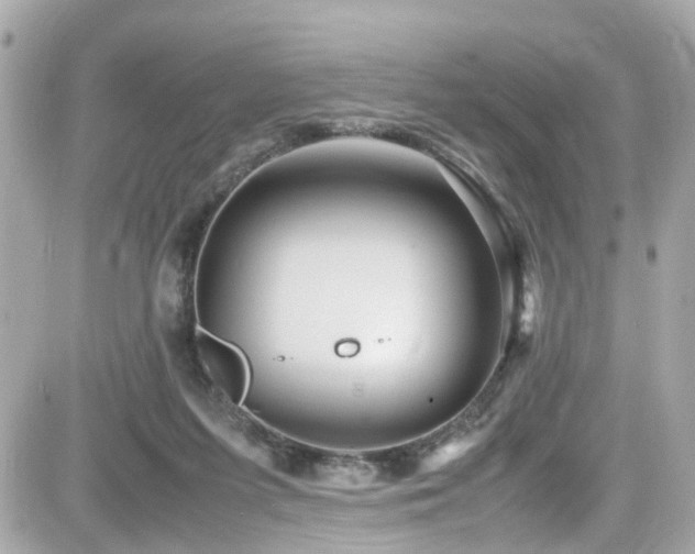 X0000082200215200701191450