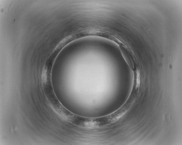 X0000082200216200701191450