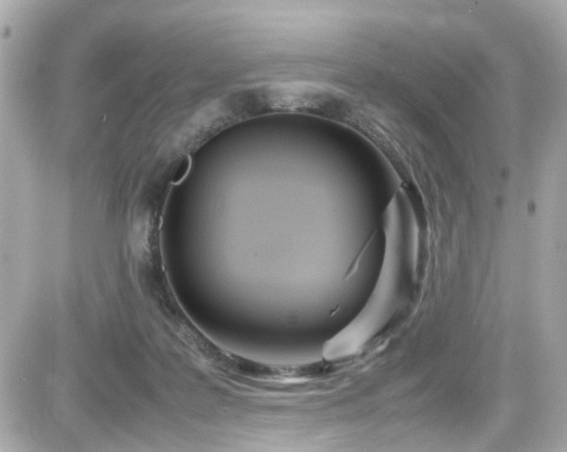 X0000082200219200701191450