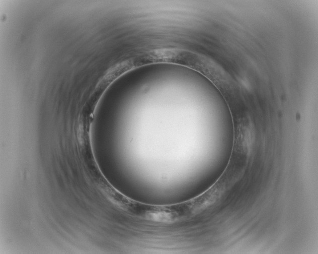 X0000082200220200701191450