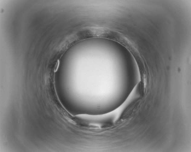 X0000082200221200701191450