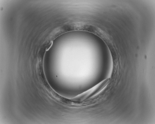 X0000082200225200701191450