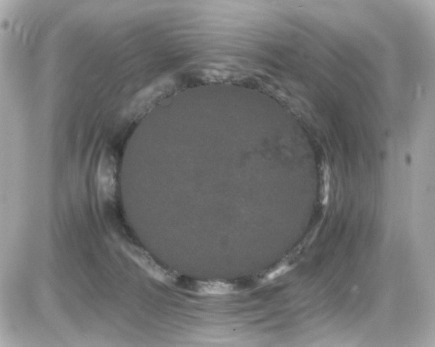 X0000082200226200701191450