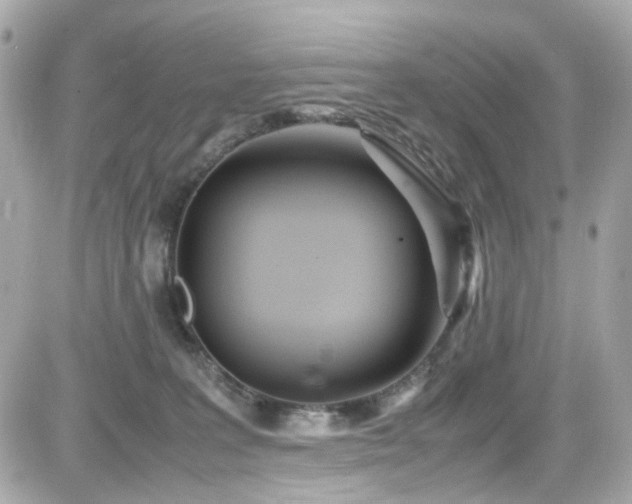 X0000082200227200701191450