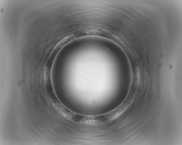 X0000082200228200701191450