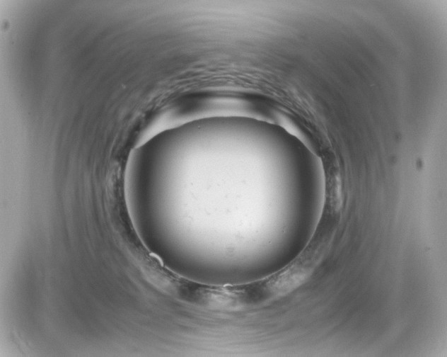 X0000082200229200701191450