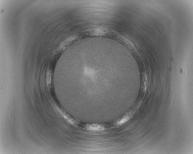 X0000082200230200701191450