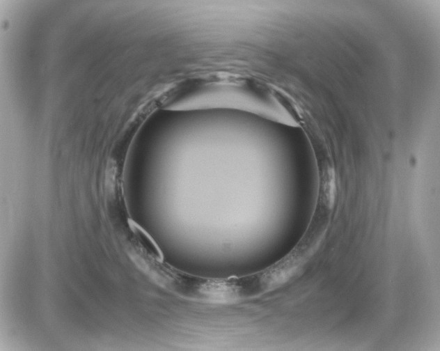 X0000082200231200701191450