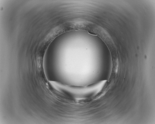 X0000082200232200701191450