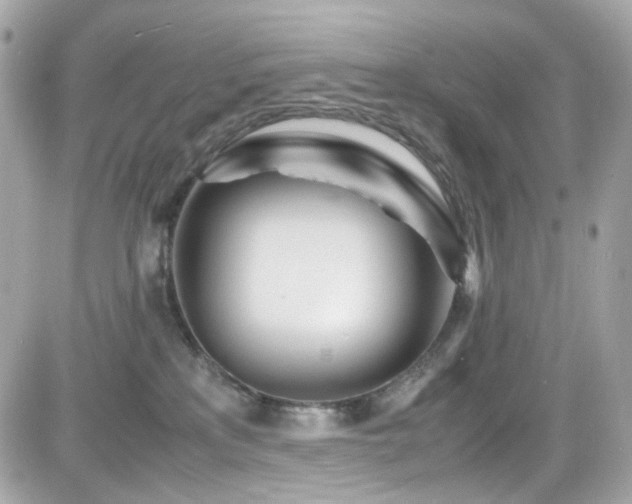 X0000082200233200701191450