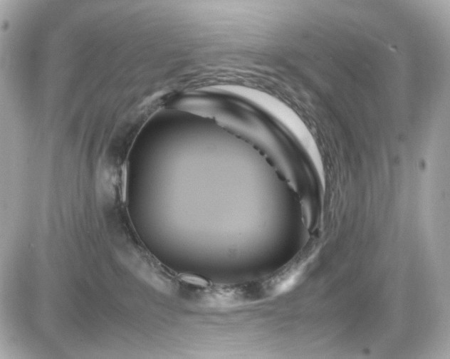 X0000082200235200701191450