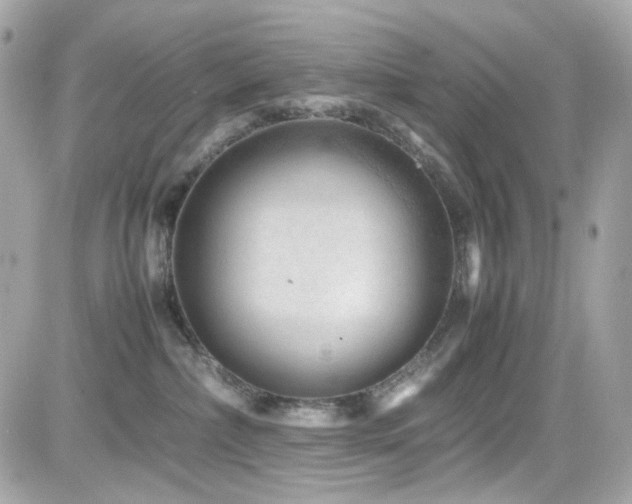 X0000082200236200701191450