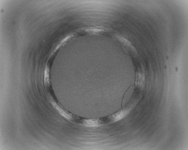 X0000082200238200701191450