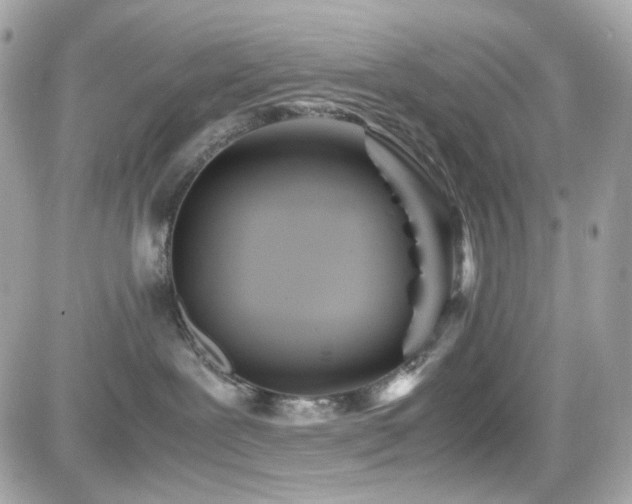 X0000082200239200701191450