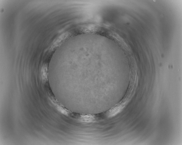 X0000082200240200701191450