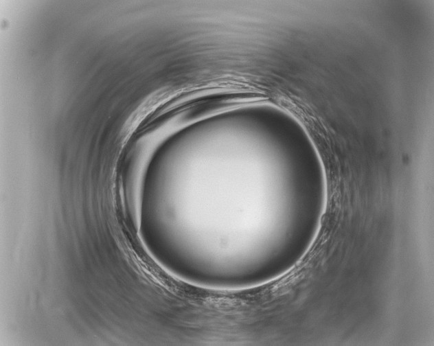 X0000082200242200701191449