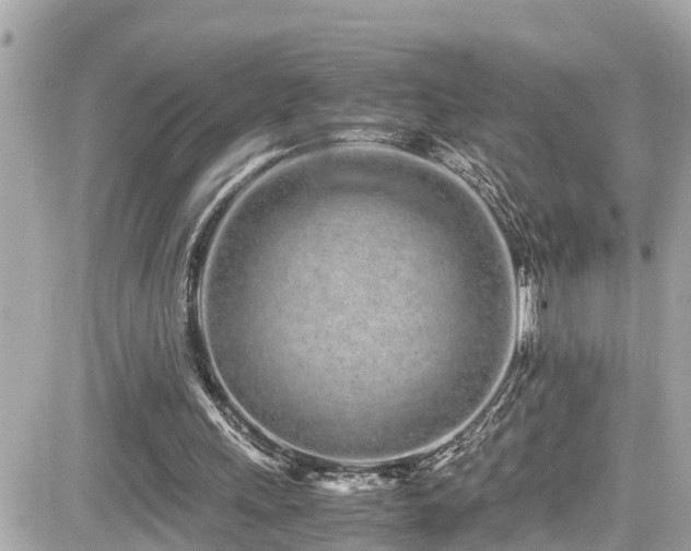 X0000082200243200701191449