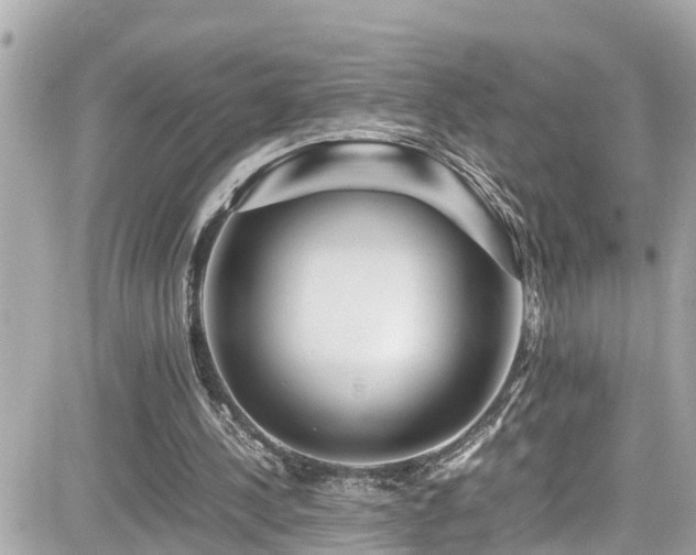 X0000082200244200701191449