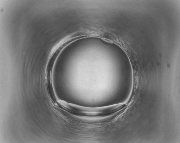 X0000082200246200701191449