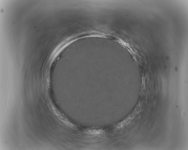 X0000082200247200701191449