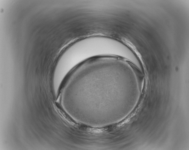 X0000082200249200701191449