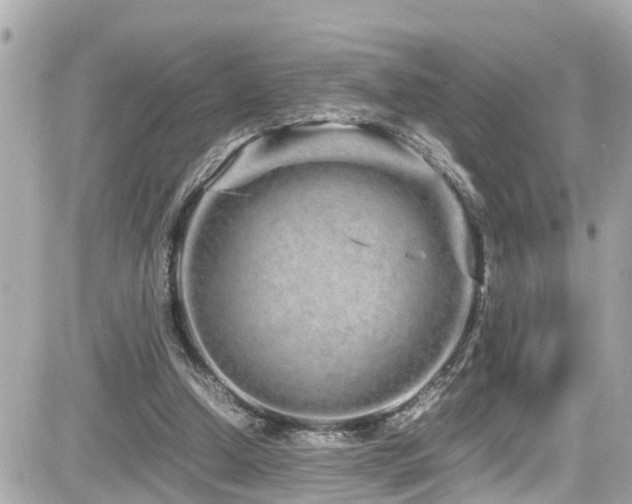 X0000082200250200701191449