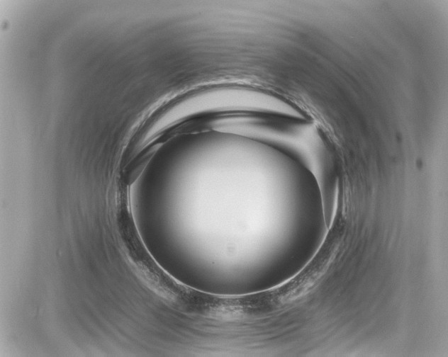 X0000082200252200701191449