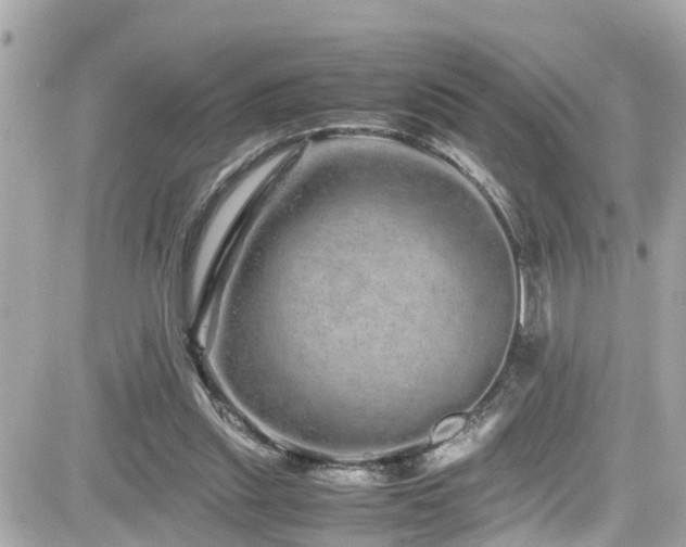 X0000082200253200701191449