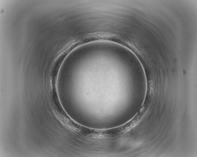 X0000082200254200701191449