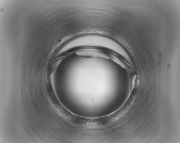 X0000082200256200701191449