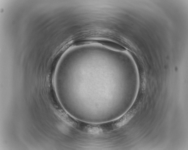 X0000082200258200701191449