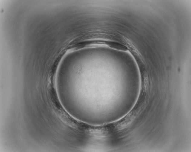 X0000082200259200701191449