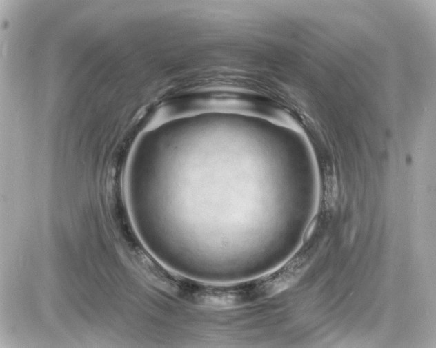 X0000082200263200701191449