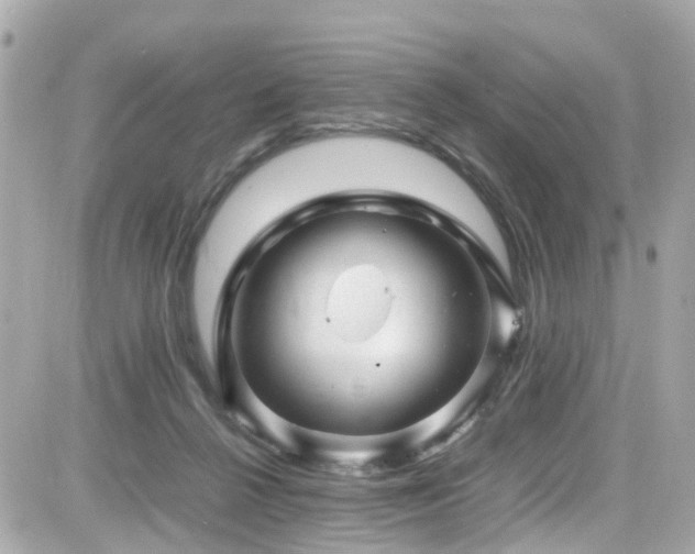 X0000082200264200701191449